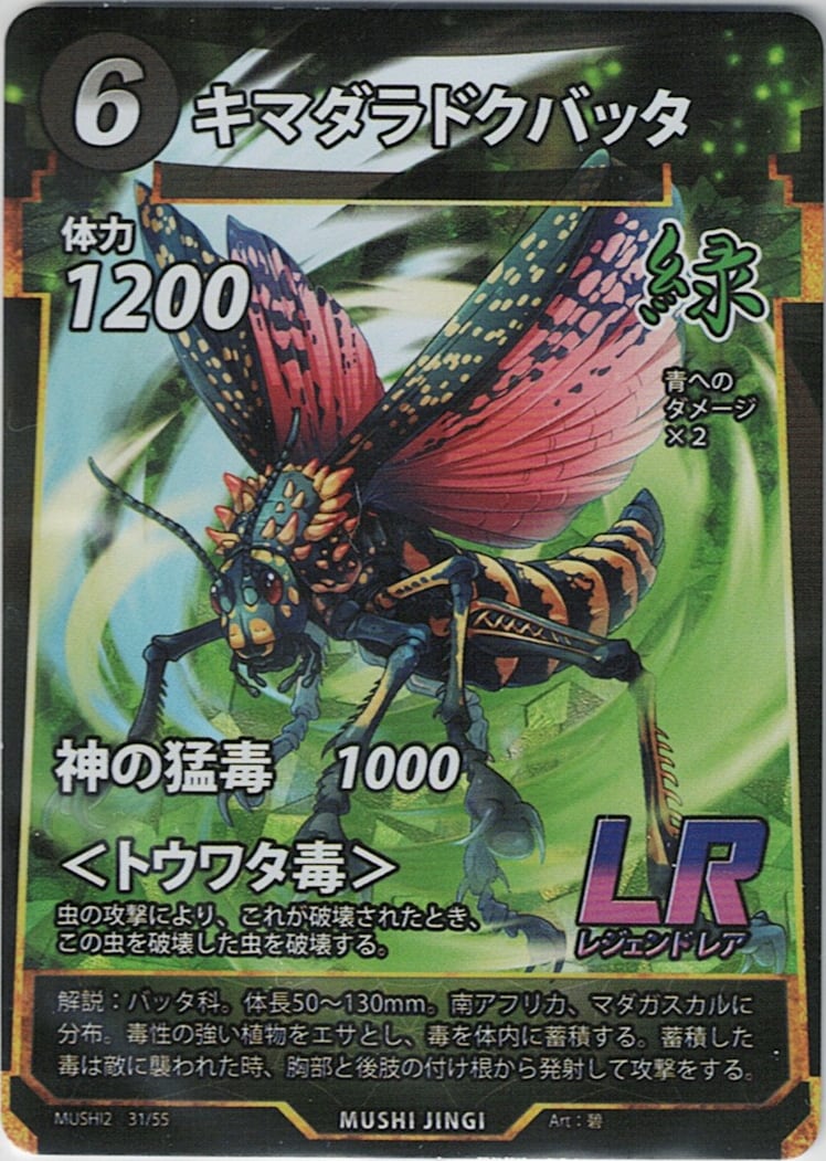MUSHI2-31 キマダラドクバッタ LR