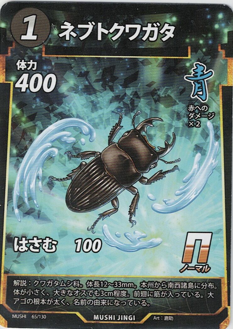 MUSHI1-65 ネブトクワガタ N