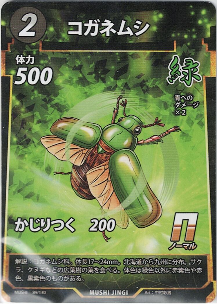 MUSHI1-89 コガネムシ N