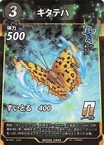 MUSHI4-22キタテハN