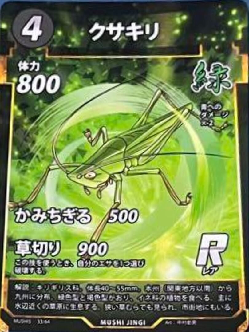 MUSHI5-33 クサキリ R