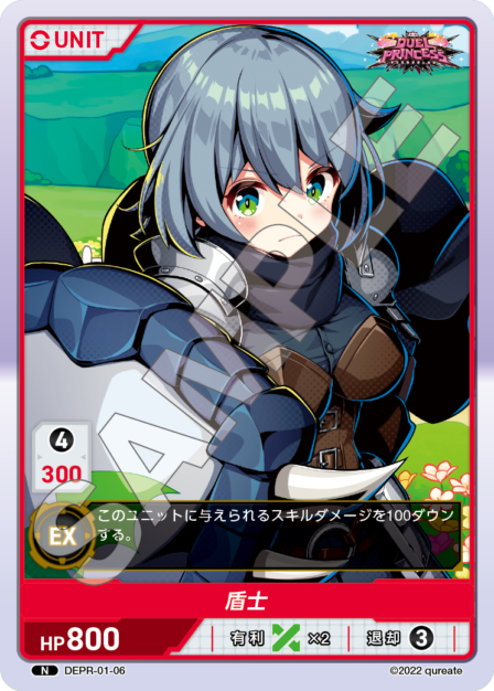 DEPR-01-06 N 盾士