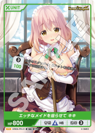 HRKN-PR-01 PR エッチなメイドを座らせて