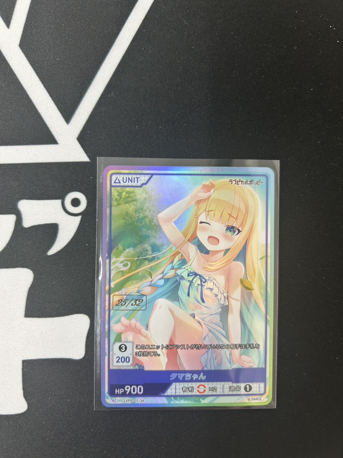 LVPP-01-34 SEC タマちゃん(25/32)
