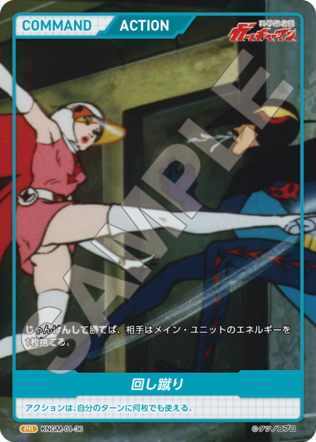 KNGM-01-36 PR 回し蹴り